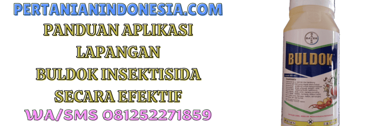 panduan,aplikasi,lapangan,dosis,pertanian indonesia